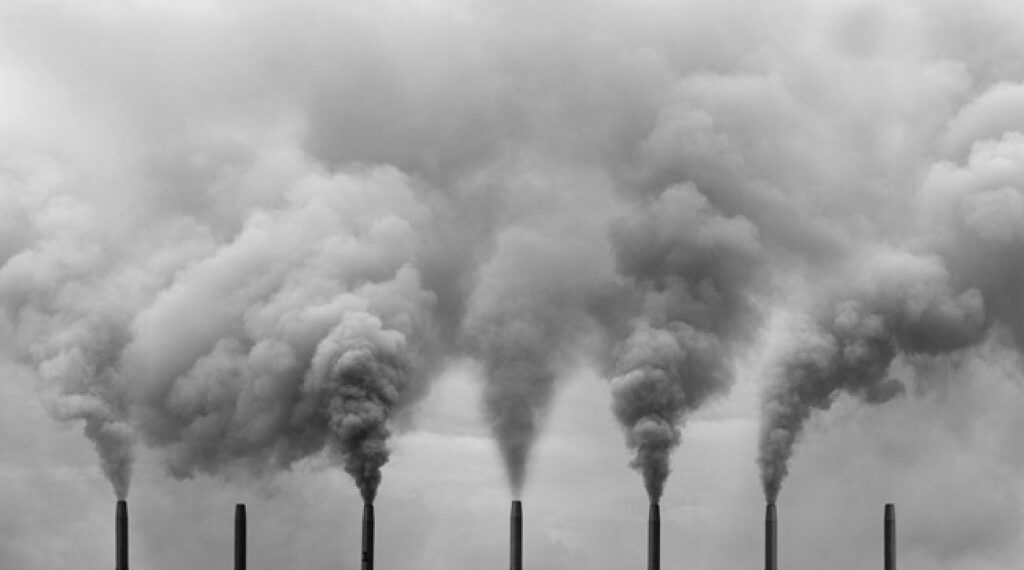 நாட்டை சுடுகாடாக்கும் புதிய சூழலியல் சட்டம்: முதல் குறி தமிழகம்?