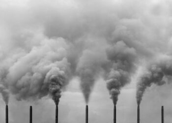 நாட்டை சுடுகாடாக்கும் புதிய சூழலியல் சட்டம்: முதல் குறி தமிழகம்?