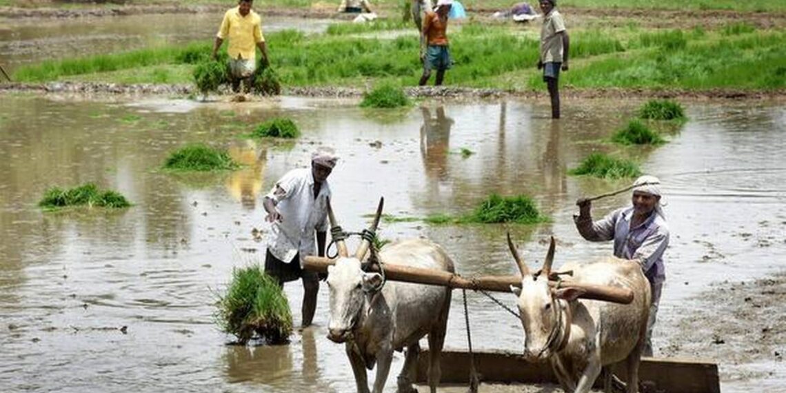 பி.எம்.கிசான் திட்டத்தில் பித்தலாட்டம்: லஞ்ச அதிகாரிகளால் விவசாயிகள் தவிப்பு