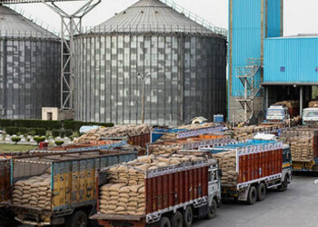 ”யானை வரும் பின்னே, மணியோசை வரும் முன்னே” : ஹரியானாவில் அதானி குழுமம் கட்டும் நவீன தானிய சேமிப்புக் களஞ்சியங்கள்