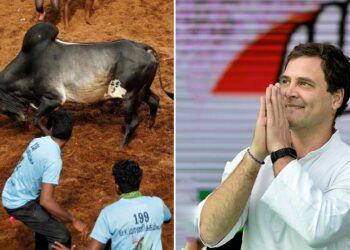 தலைவர் ராகுல் காந்தியை வரவேற்க காங்கிரஸ் கட்சியினர் மதுரைக்கு அணிதிரண்டு வர தலைவர் கே.எஸ்.அழகிரி அழைப்பு!